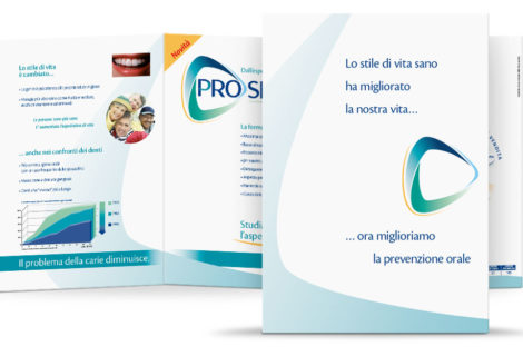 ’06 Prosmalto Brochure